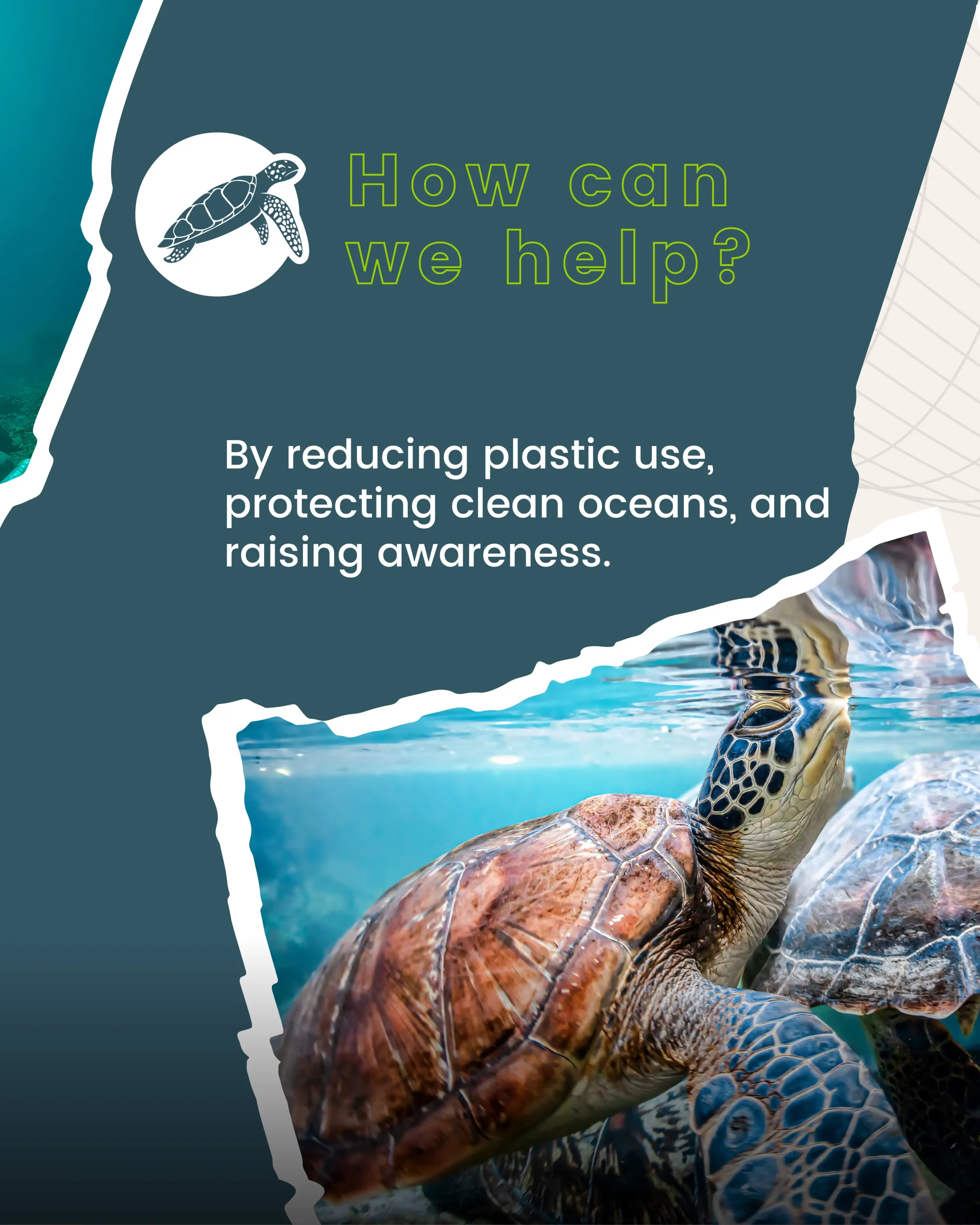 tekser_world turtles day-4